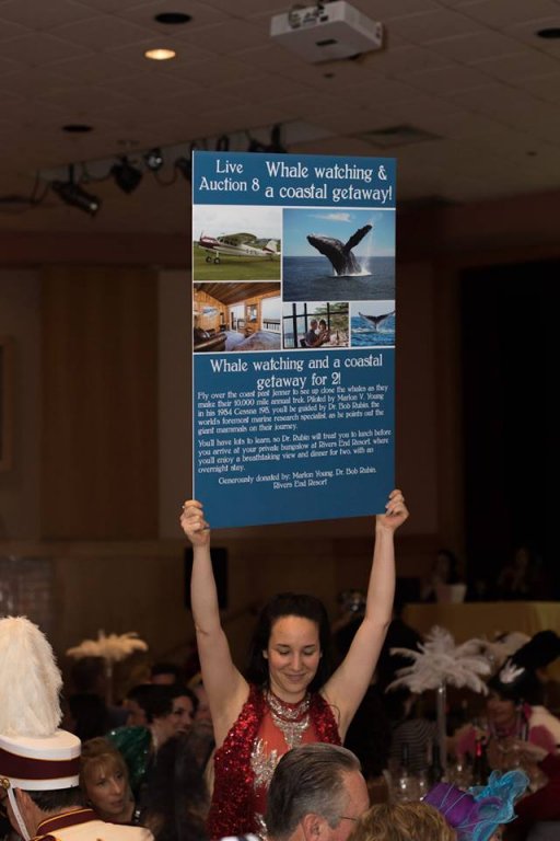 Social Advocates for Youth, Sonoma County, Sonoma County non-profits, corogated signage, raffles, bidding, events, marketing, printing, commercial printing, AJ printing and graphics and Wine Country Signs, cirque du say